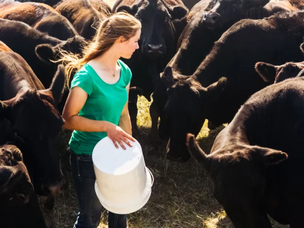 come fare l'agricoltore